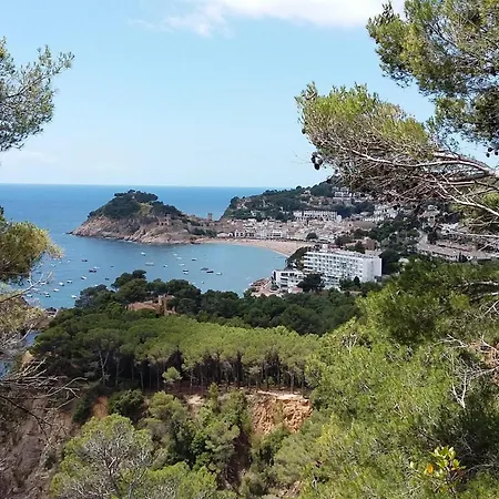 Mirador-3
